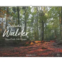 Neumann ALPHA EDITION - Zauberhafte Wälder 2026 - 52