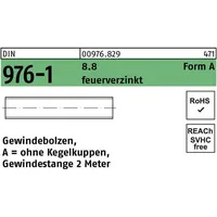 Hörger & Geßler DIN 976 Gewindestange 8.8 U AM