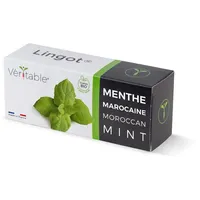 Veritable Anzuchttopf Lingot Moroccan Mint - Organic (1 St)
