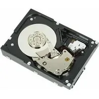 Dell HD, 1TB SAS-NL6, 7.2K, 3.5" (1 TB, 3.5"),