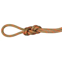 Mammut Alpine Dry Kletterseil (Größe 70M, beige)