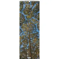 Neumann Bäume 2026 - Foto-Kalender - Wand-Kalender - King-Size