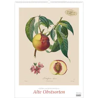 Neumann Pierre Antoine Poiteau: Alte Obstsorten 2026 - DUMONT