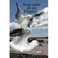 Agenda Münster Nicht mehr als ein Flügelschlag