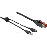 DeLock USB-Stromkabel PoweredUSB 24V Stecker, USB-A Stecker, Hosiden Mini-DIN
