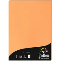 Pollen 10x Papier A4 Pollen 120g 50 Blatt -