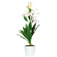 Paperflow meet powered by PAPERFLOW LILIENBLUME Kunstpflanze 65,0 cm
