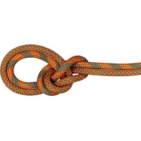 Mammut 9.5 Crag Dry Rope - Kletterseil - dry