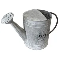Mojawo Vintage Gießkanne verzinkt 5 Liter-FZ3000550