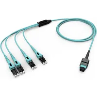 Corning Cable Systems Corning EDGE8 Harness Kabel 3m HE87808GLZ-2B003M