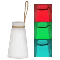 FH Lighting LED-Akku-Tischleuchte Bruno 3.000 K, RGB LED Tischleuchte,