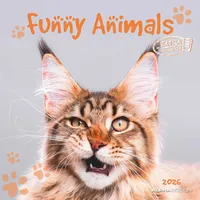 Neumann Funny Animals - Kalender 2026