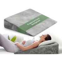 Well B4 Keilkissen für Bett und Couch, Matratzenkeil, Reflux