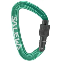 Salewa Ortles Screw Schraubkarabiner-Grün-One Size
