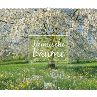 Neumann Heimische Bäume 2026 - Wandkalender 60x50 cm -