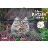 Neumann DUMONTS Katzenkalender 2026 - Broschürenkalender - Wandkalender -
