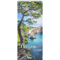 Dumont Kalenderverlag Bäume - Wandkalender im Format 30 x
