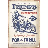 Nostalgic-Art Retro Blechschild, 20 x 30 cm, Triumph –