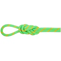 Mammut Alpine Eco Dry Kletterseil (Größe 70M, gruen)
