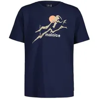 Maloja RainbachM. night sky (8325) S