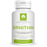 Wellnest L-Ornithin 400mg Kapseln 120 Stück
