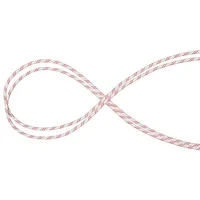 Mammut Performance Static 10 Mm Seil - White /