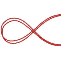 Mammut Performance Static 10.5 Mm Seil - Red /