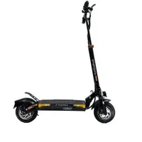 SmartGyro Elektroroller Schwarz 48 V