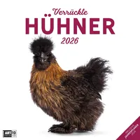 Ackermann Verrückte Hühner Broschürenkalender 2026 - 30x30 - Art12