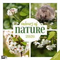 Ackermann Colours of Nature Broschürenkalender 2026 - 30x30 -