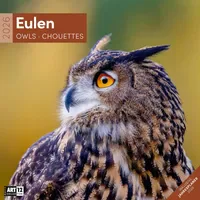 Ackermann Eulen Broschürenkalender 2026 - 30x30 - Art12 |
