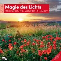 Ackermann Magie des Lichts Broschürenkalender 2026 - 30x30 -