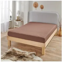 BettwarenShop Spannbettlaken Jersey-Elasthan 80 x 200 - 80 x