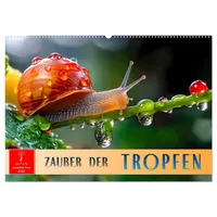 Calvendo Zauber der Tropfen (Wandkalender 2026 DIN A2 quer),