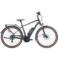 Pegasus Solero E8 Plus - 28 Zoll 500Wh 8K