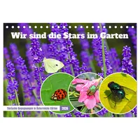 Calvendo Wir sind die Stars im Garten (Tischkalender 2026