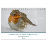 Calvendo Rotkehlchen, die niedlichen Federkugeln (Tischkalender 2026 DIN A5