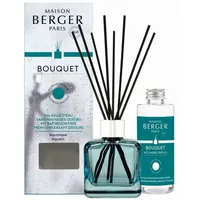 Maison Berger Paris MB7762 Nachfüllartikel für Aroma-Diffusoren Flasche