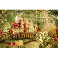 Papermoon Fototapete PAPERMOON "Fantasie tropischer Garten", bunt, B:3,5m L:2,6m,