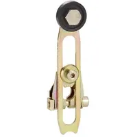 Telemechanique sensors Endschalterhebel ZC2JY52