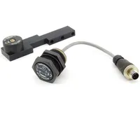 Schmersal Magnet BPS 300