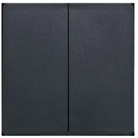 Eltako Doppelwippe DW-F4T55E/10-am