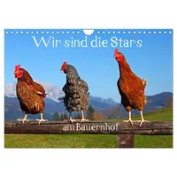 Calvendo Wir sind die Stars am Bauernhof (Wandkalender 2026