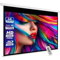 ESmart Economy EXM Motor Leinwand 160 x 90 cm