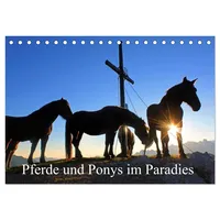 Calvendo Pferde und Ponys im Paradies (Tischkalender 2026 DIN
