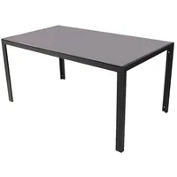 INDA-EXCLUSIV Gartentisch 160 x 90 x 70 cm Dunkelgrau/Schwarz
