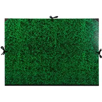 Clairefontaine 5x Zeichenmappe innen: 60x85cm, außen: 67x94cm Grün 33200C