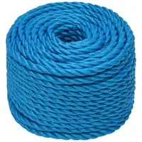 VidaXL Arbeitsseil Blau 24 mm 25 m Polypropylen
