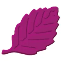 Ursus 19670015 - Prägestanzer, Blatt, rosa, ausgestanztes Motiv ca.