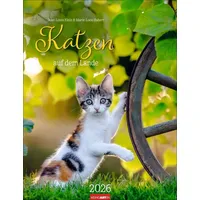 Weingarten Katzen auf dem Lande Kalender 2026